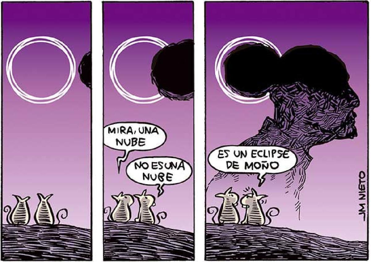 Eclipse de moño