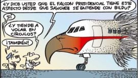 Ave falconiforme con gorguera leonada