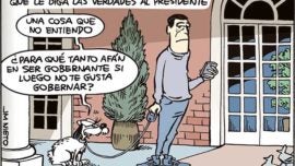 Las dudas de la perrita “Turca”