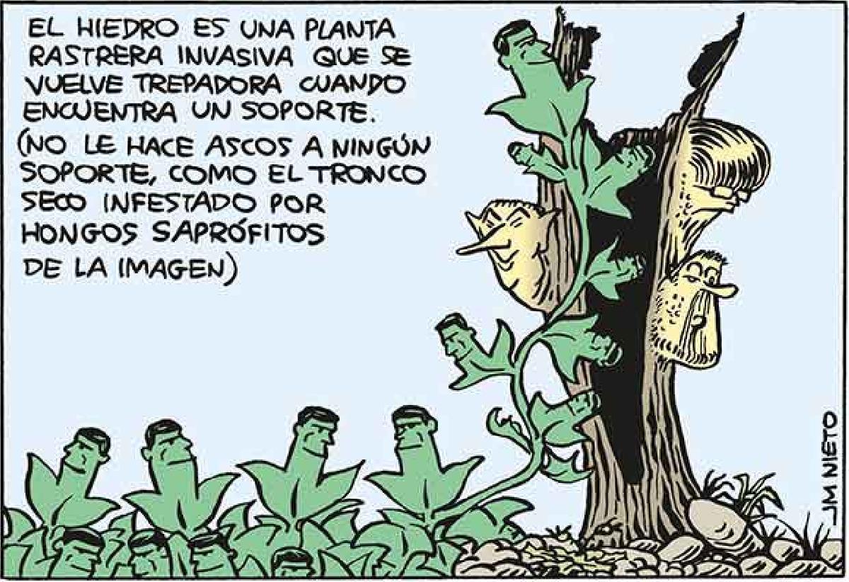 El hiedro, planta invasiva y trepadora