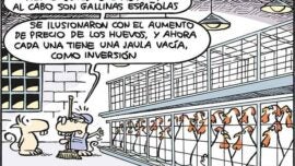 La prosperidad de la gallina