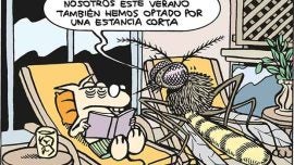 Encuentros estivales