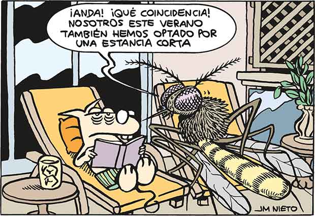 Encuentros estivales