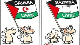 Movilizaciones y reciclaje