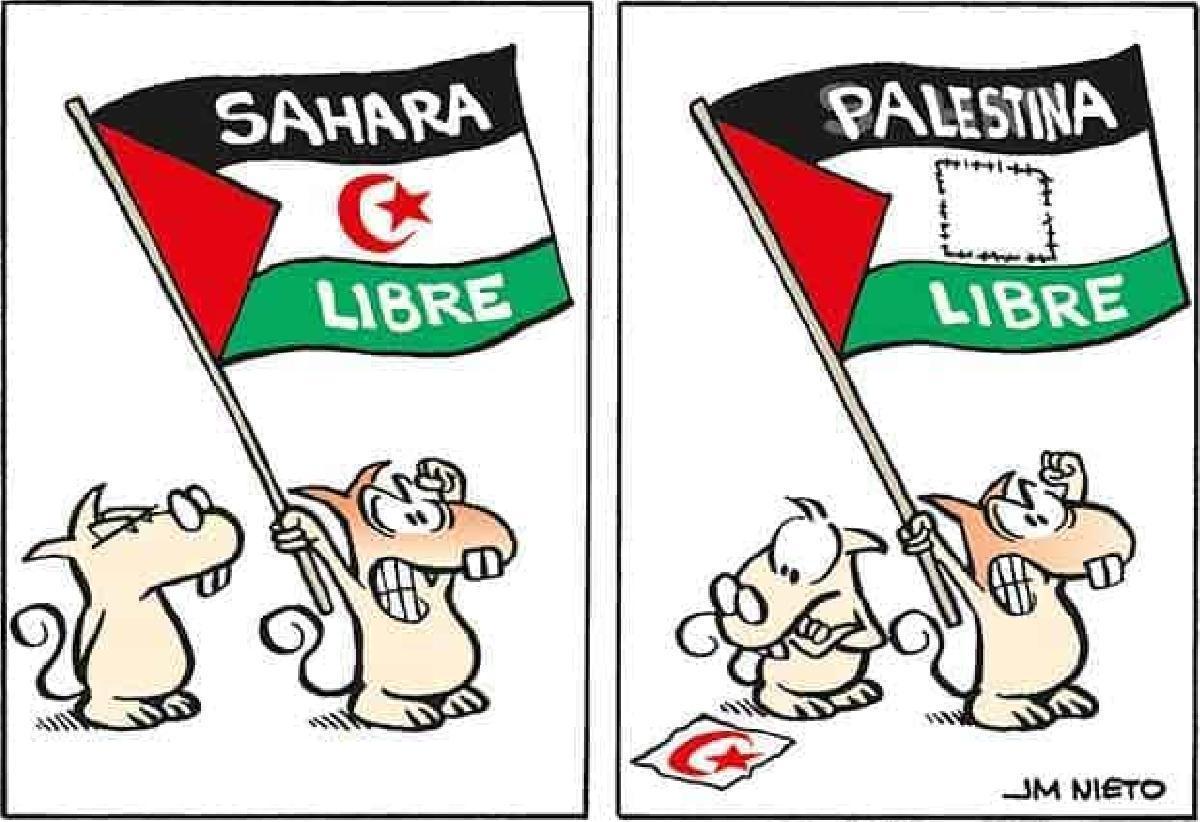 Movilizaciones y reciclaje