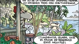 Contundencia siempre