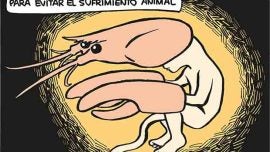 Bienestar animal con excepciones