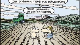 Fincas gubernamentales