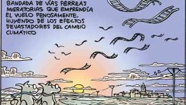 Efectos del cambio climático