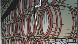 El tesoro de cualquier bodega