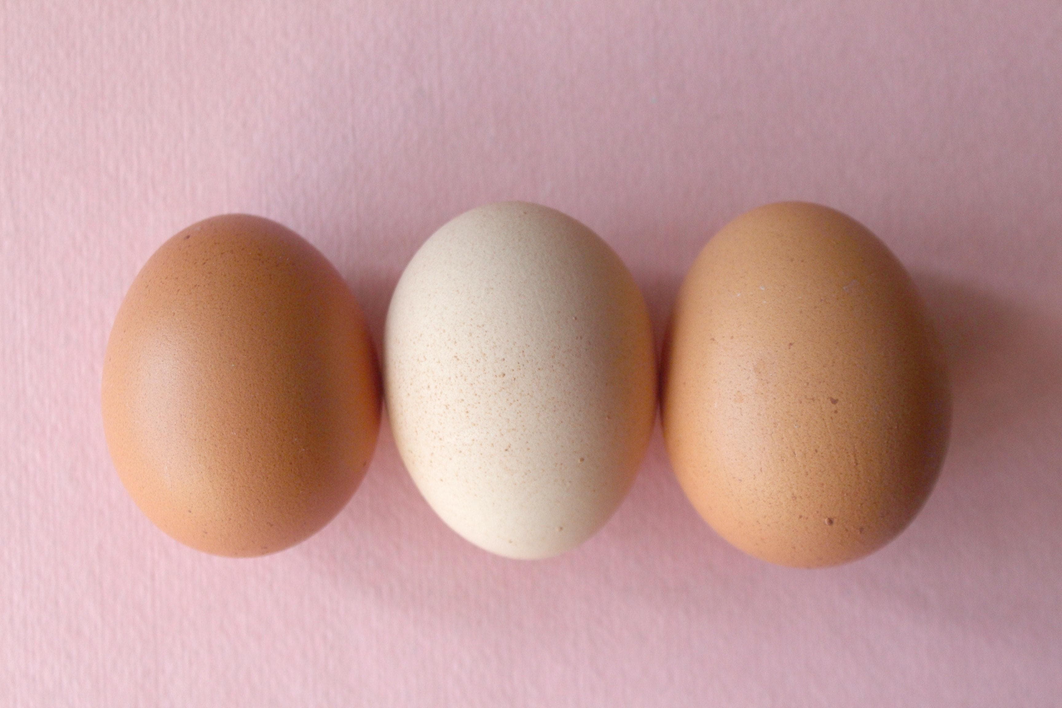 Los huevos, un tesoro nutricional: ¿Se guardan en la nevera o a temperatura ambiente?