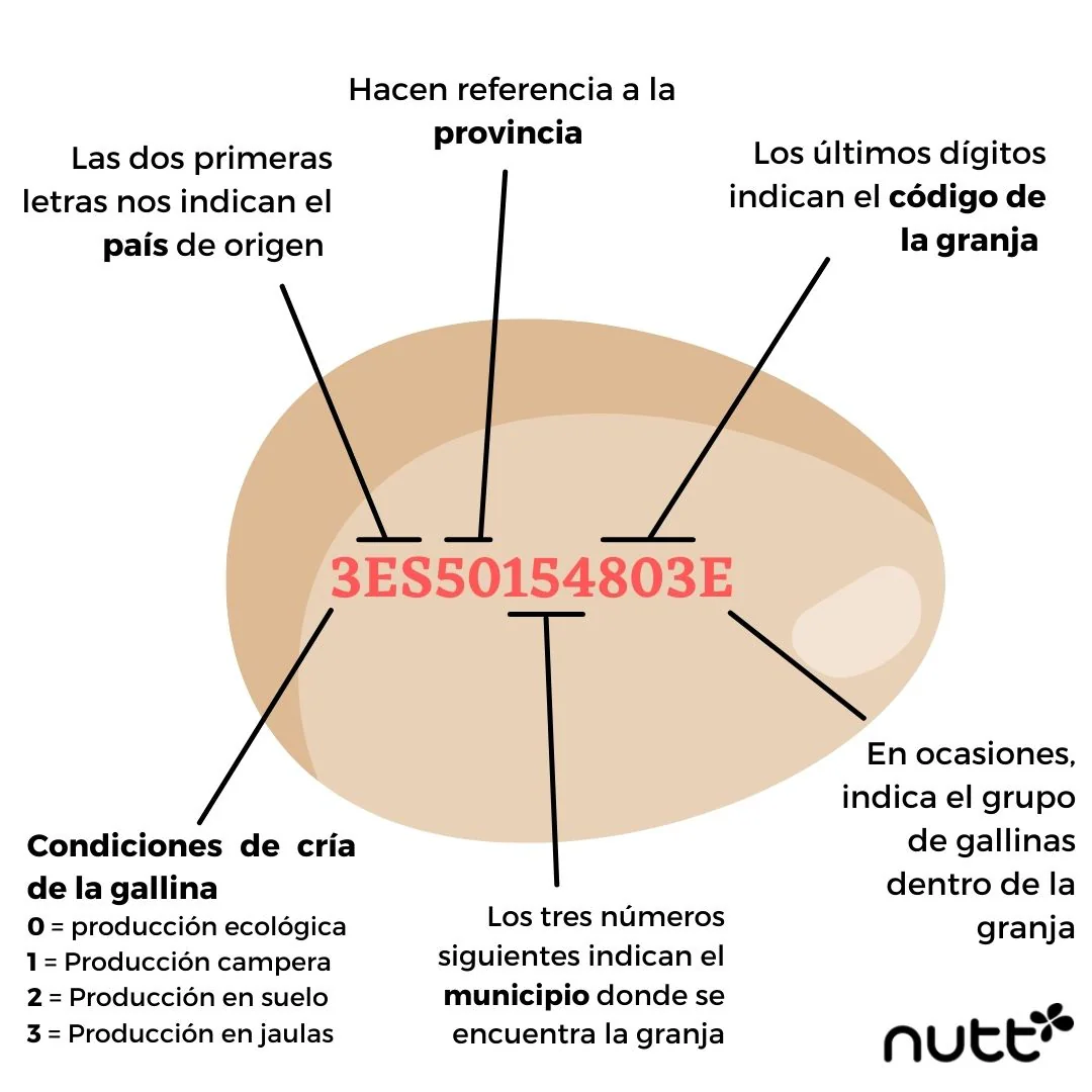 El Secreto Que Esconde El Huevo En El Código Que Lleva Impreso