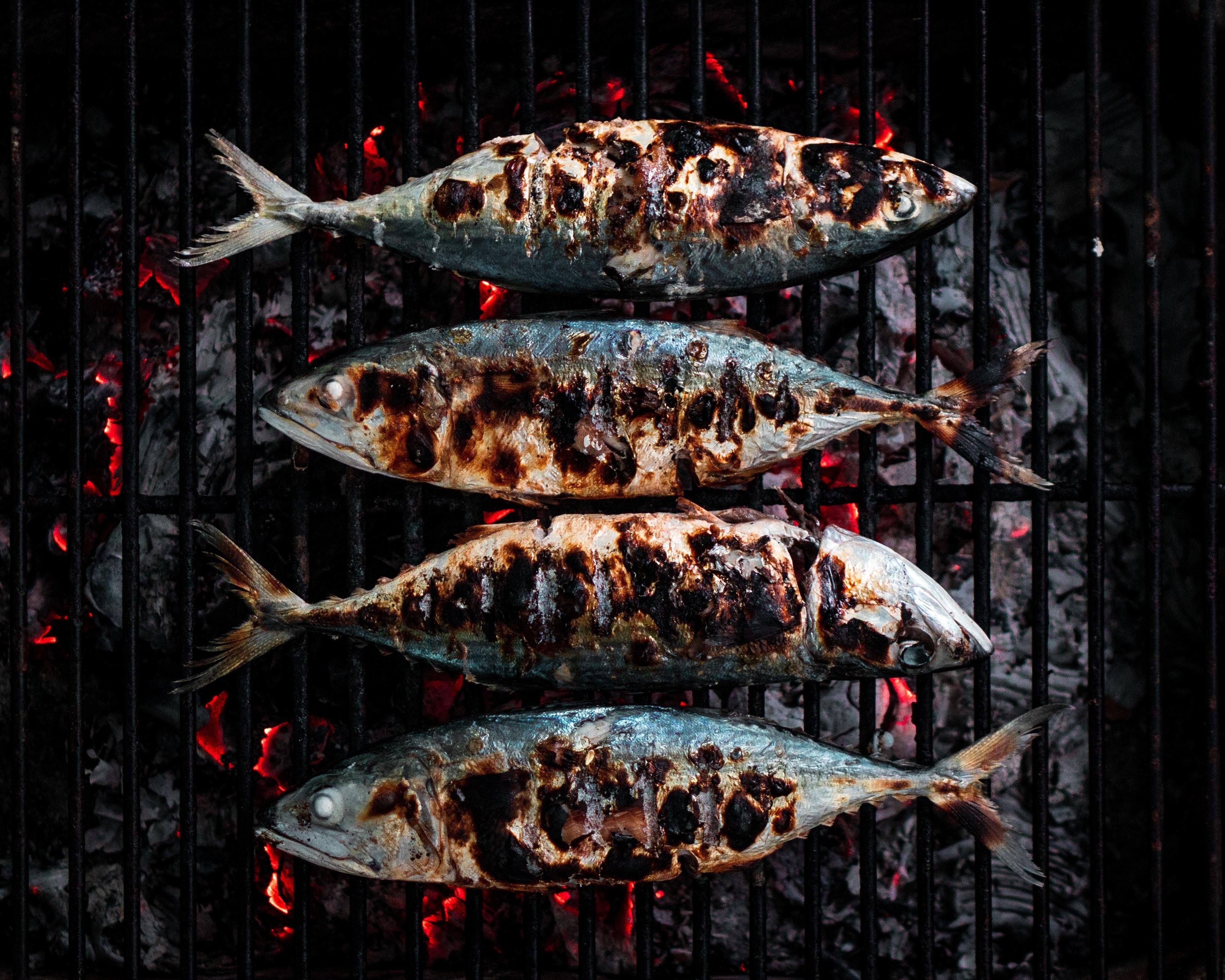 Las sardinas, aún más sanas de lo que pensábamos