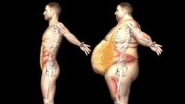 Qué es la grasa visceral y por qué debes combatirla