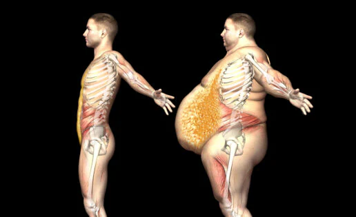 Qué es la grasa visceral y por qué debes combatirla