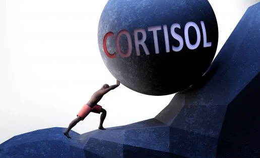 Estrés y cortisol: ¿Ayuda el ejercicio físico o agrava el problema?
