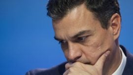 Pedro Sánchez se cae del guindo