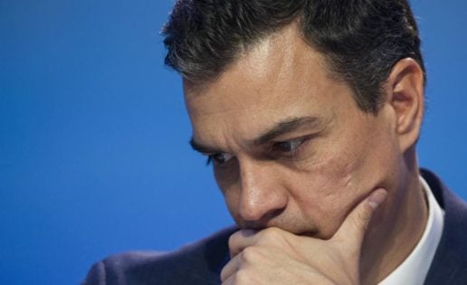 Pedro Sánchez se cae del guindo