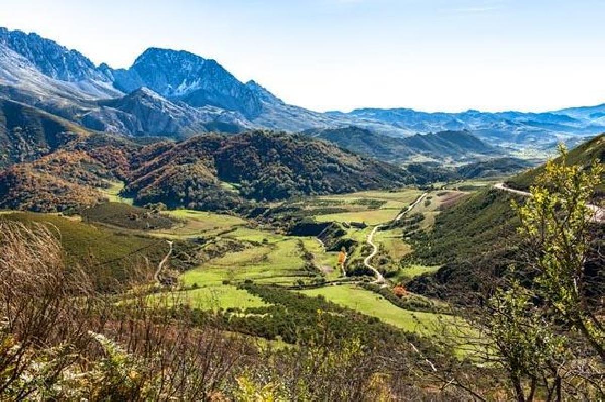 No están en Babia