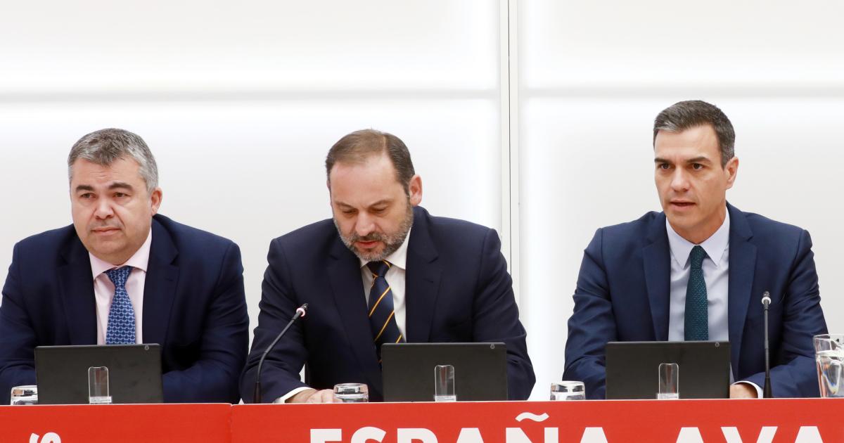 Cómplice o lerdo