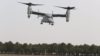 Marines en Almagro: el “Osprey” con el Bhela I