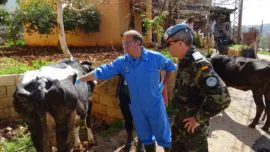 Veterinarios de la «Complu», codo con codo con los militares en Líbano