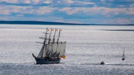 Imágenes del buque Juan Sebastián de Elcano en el Estrecho de Magallanes