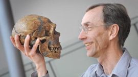 Los humanos modernos tuvieron sexo con los neandertales