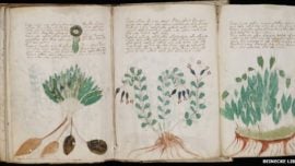 Nuevos indicios de la existencia de un idioma desconocido en el misterioso texto de Voynich