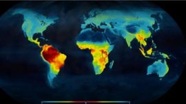 El mapa global para la conservación de especies