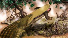 Cuando los cocodrilos luchaban con los dinosaurios