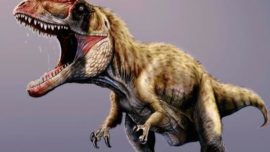 El monstruo que aterrorizó a los primeros tiranosaurios