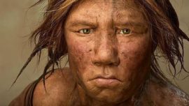 Neandertales, cronología de una extinción