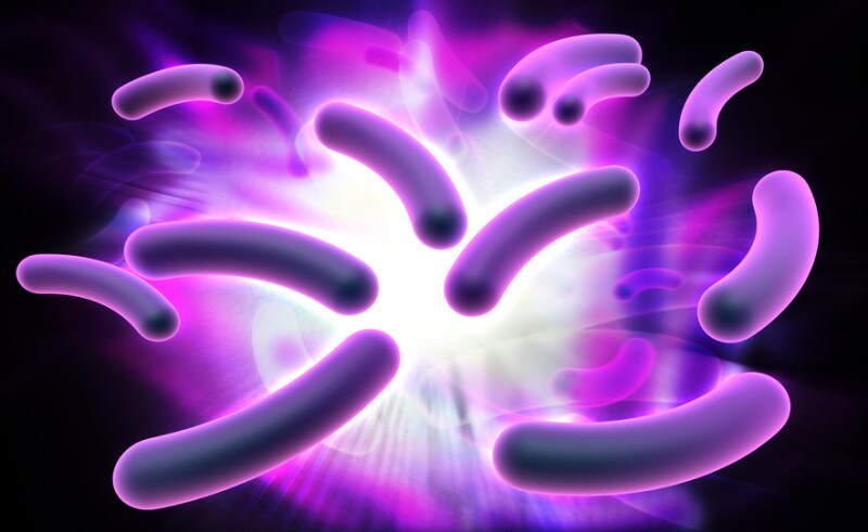Descubren una bacteria que «come» electricidad