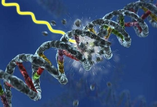 ¿Por qué los rayos ultravioleta no destrozan nuestro ADN?