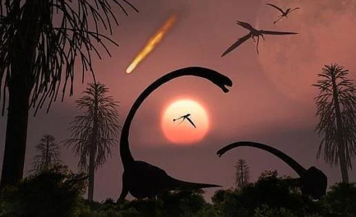 Debemos Nuestros Bosques Al Meteorito Que Acabó Con Los Dinosaurios