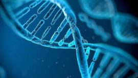 ¿Y si nuestro genoma no fuera del todo humano?