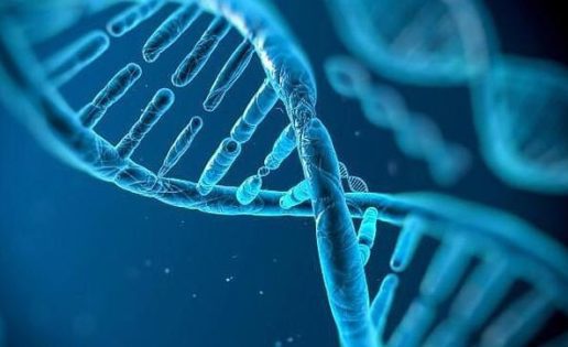 ¿Y si nuestro genoma no fuera del todo humano?