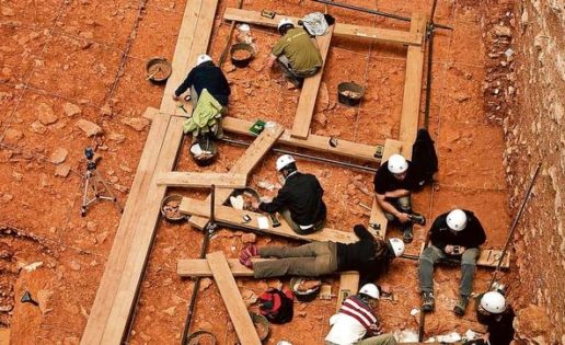 Atapuerca reorganiza el modelo de la evolución humana