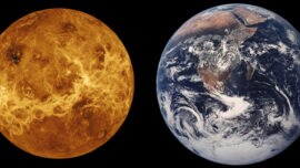 Por qué vivimos en la Tierra y no en Venus