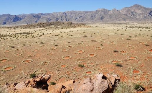 Resuelto el misterio de los «círculos» de Namibia