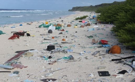 Y el Paraíso se llenó de plástico…