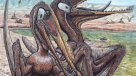 Los pterosaurios también cuidaban de sus crías