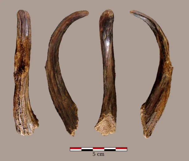 Estas herramientas de hace 90.000 años no las construyó nuestra especie