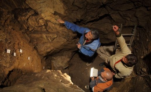 Hallan por primera vez un humano descendiente directo de dos especies