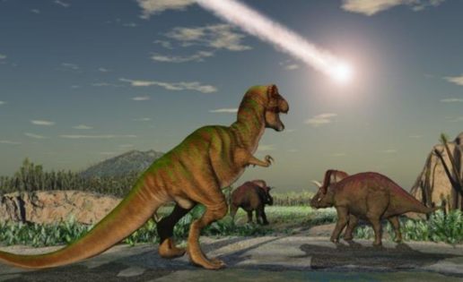 El mundo tardó dos millones de años en recuperarse del impacto que acabó con los dinosaurios