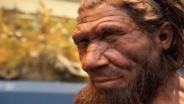 Un nuevo estudio sostiene que la «mala suerte» acabó con los neandertales