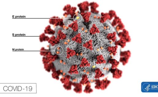 Una herramienta para saber si el coronavirus es de origen natural o está fabricado por el hombre