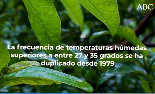 El calor capaz de matarnos no llegará a finales de siglo: ya está aquí