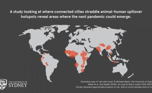 Coronavirus: ¿Dónde surgirá la próxima pandemia?